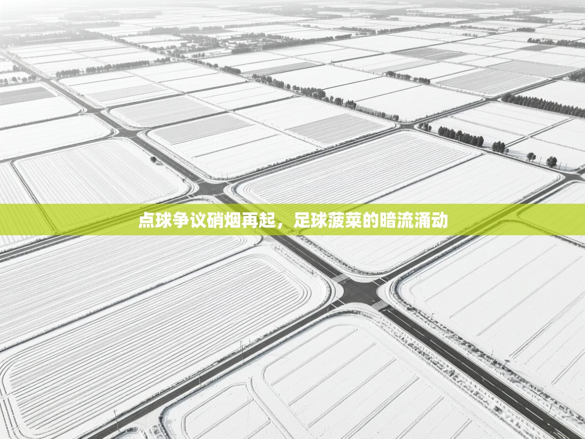 点球争议硝烟再起,足球菠菜的暗流涌动 第2张