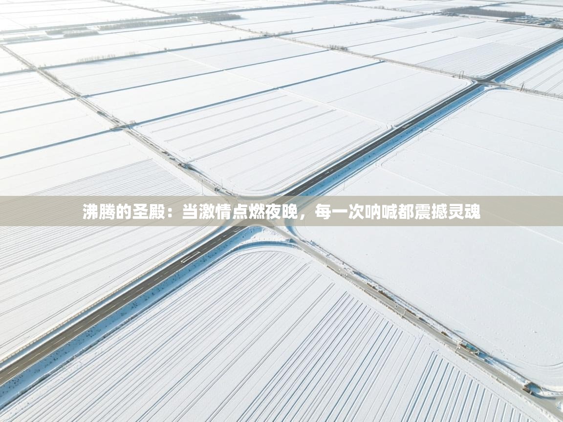 沸腾的圣殿：当激情点燃夜晚，每一次呐喊都震撼灵魂  第2张