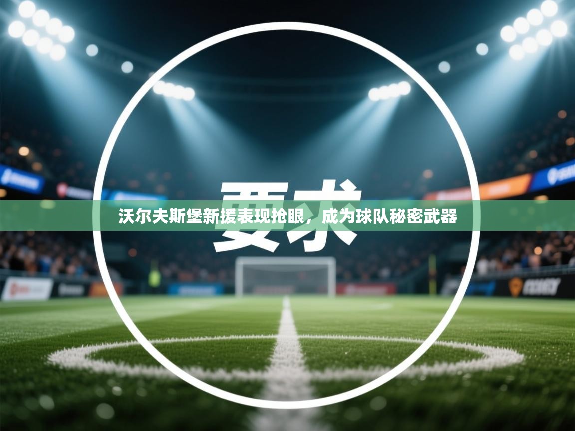 沃尔夫斯堡新援表现抢眼，成为球队秘密武器  第1张