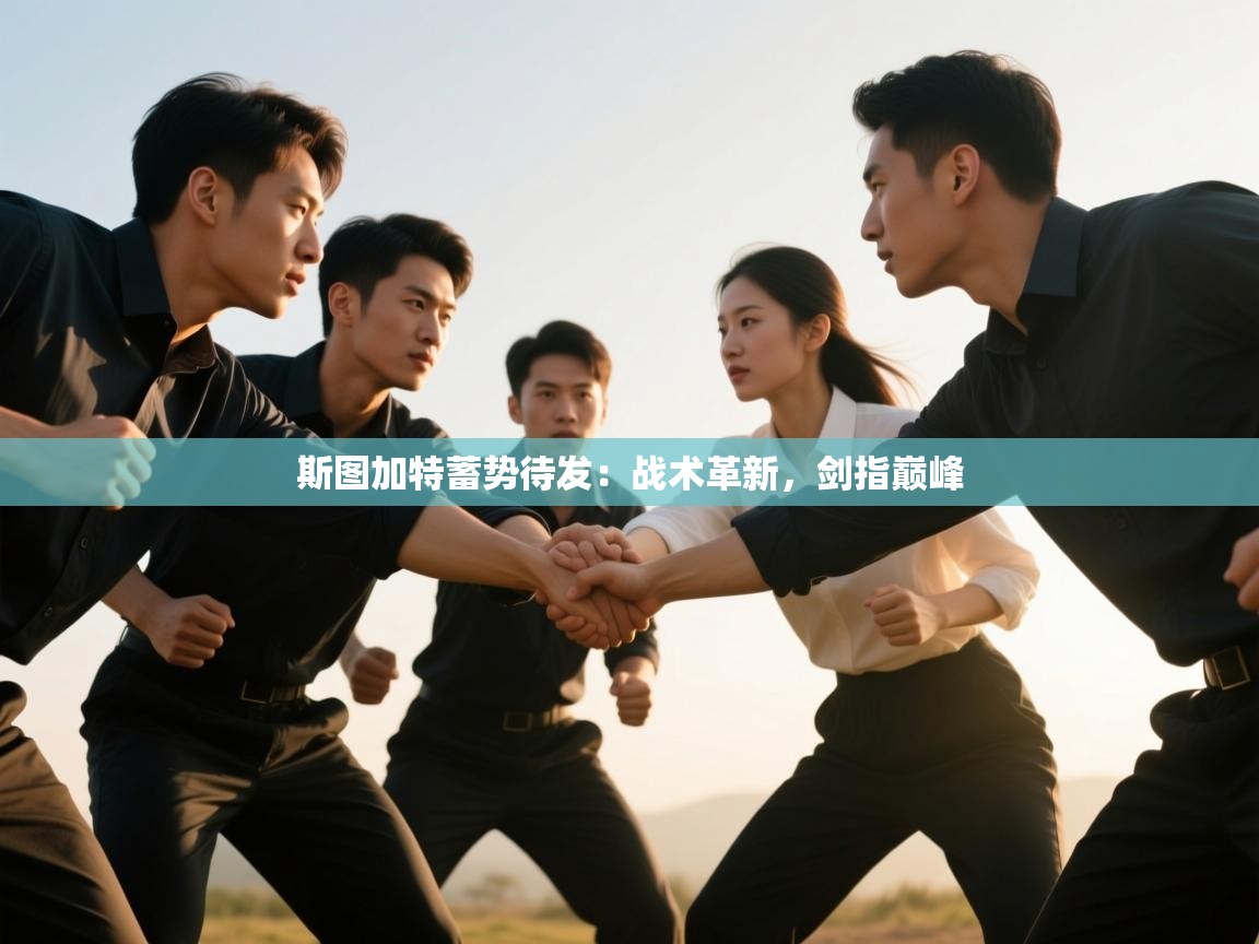 斯图加特蓄势待发：战术革新，剑指巅峰  第1张