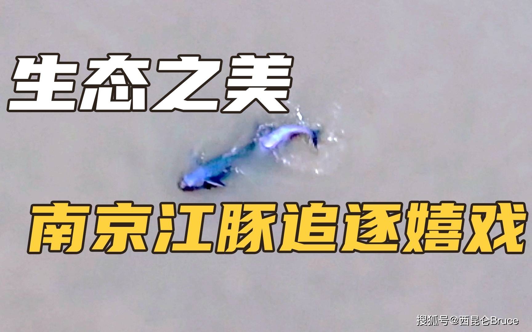 开云体育官网入口-辽宁战胜安徽冲浪队，继续追赶领先
