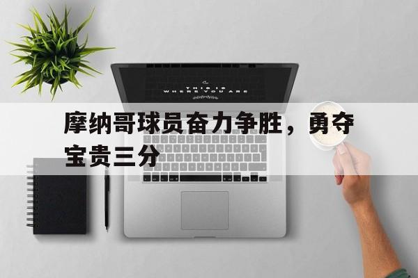 开云体育登录入口-摩纳哥球员奋力争胜，勇夺宝贵三分的简单介绍