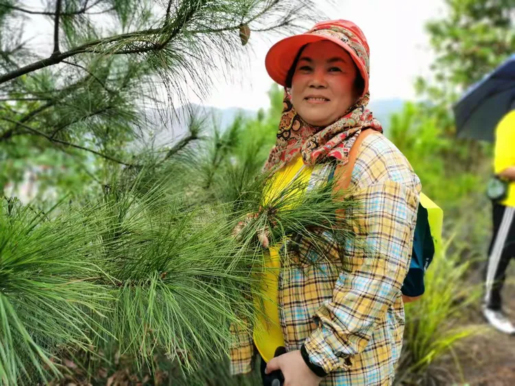 开云体育-吉林森林采摘胜利果实，实现连胜的简单介绍